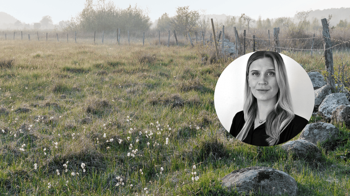 Vattenfall får högsta betyg för klimatarbete