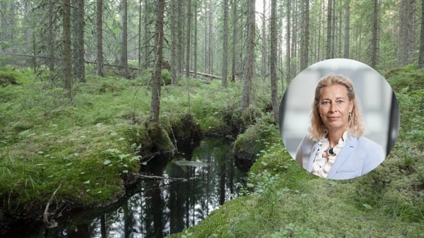 Från rapportering till affär: därför har hållbarhetschefen fått en nyckelroll