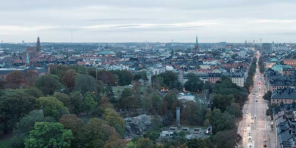 Därför blir städernas grönska allt viktigare
