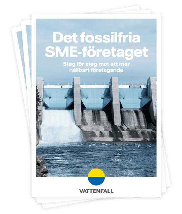 Det fossilfria SME-företaget