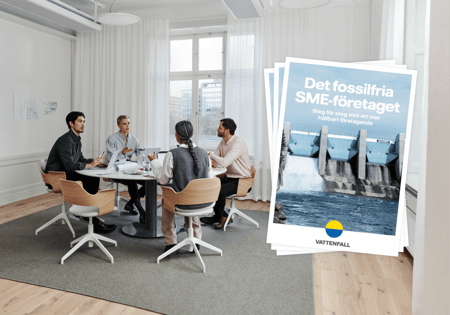 Steg för steg mot ett mer hållbart SME-företag
