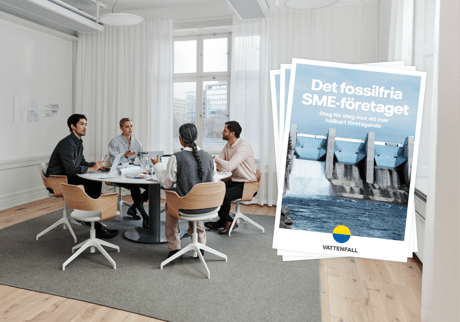 Steg för steg mot ett mer hållbart SME-företag