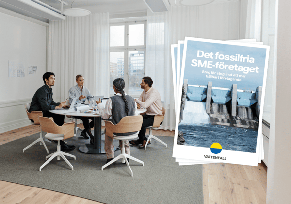 Steg för steg mot ett mer hållbart SME-företag