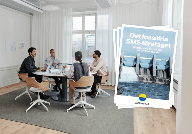 Steg för steg mot ett mer hållbart SME-företag