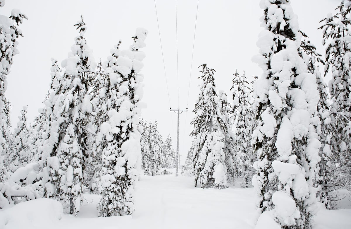 vinter