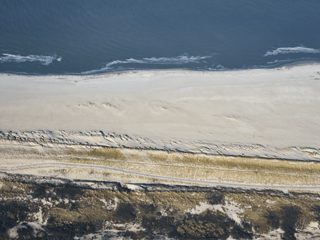 Webp.net-resizeimage (6) (1)