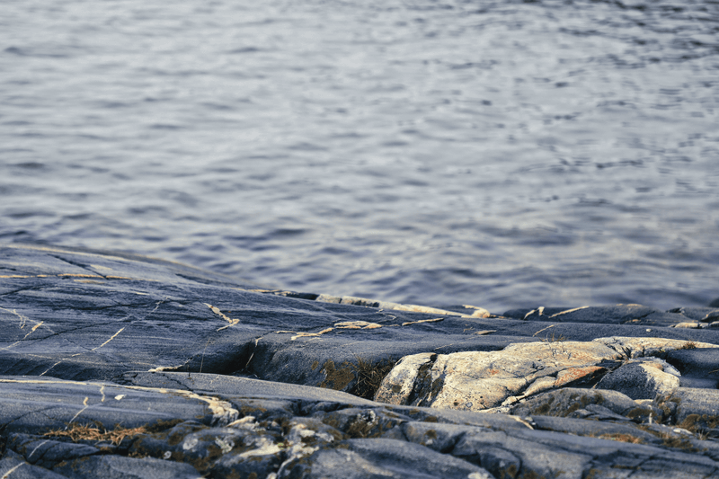 Webp.net-resizeimage (7) (1)