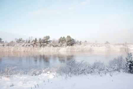 Vinter