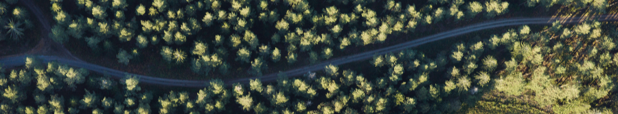 Large Screen 72 DPI-Vattenfall_Incharge_aerial_sthlm_road_trees-1-2-1-2