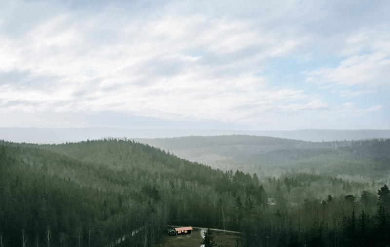 Energiskatten 2024 - Ladda ner vår guide