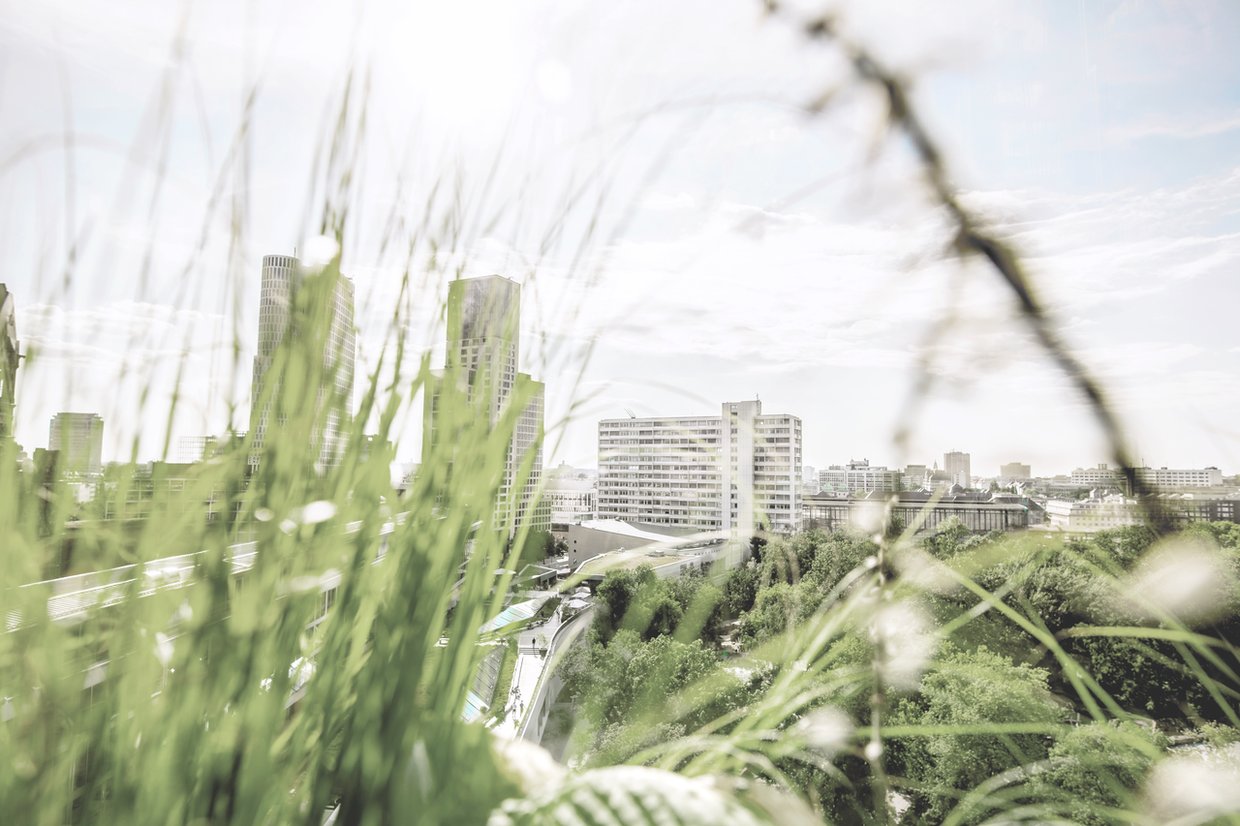 Medium Screen 72 DPI-Vattenfall_urban_gardening_256064798-1