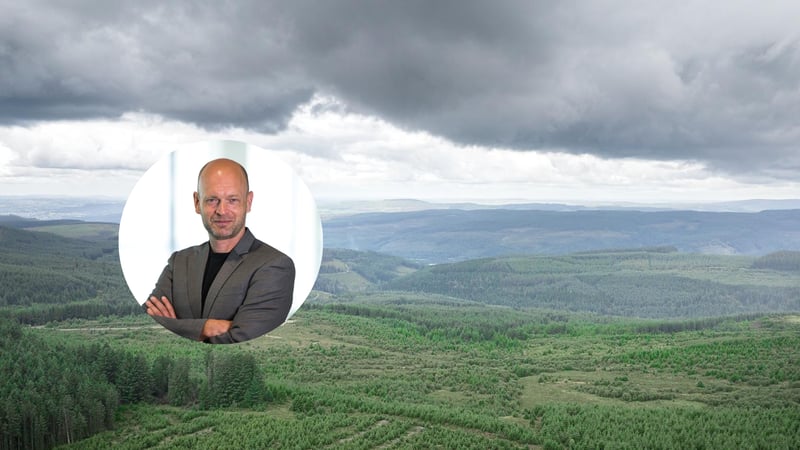 Berggren: Klimatdata blir affärskritisk information med EU:s klimattull