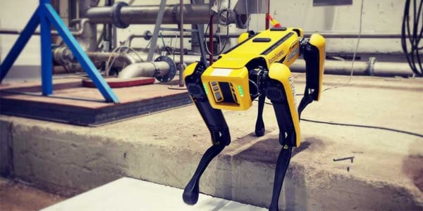 Robothunden kan spåra dygnet runt