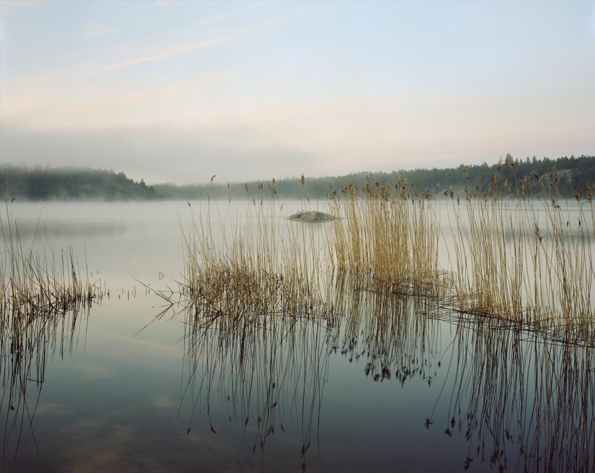 Hållbarhet högt på agendan - men betalningsviljan sjunker