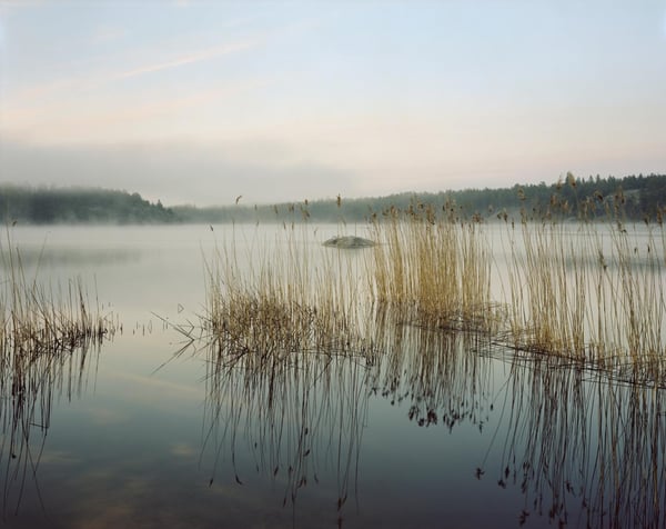 Hållbarhet högt på agendan - men betalningsviljan sjunker