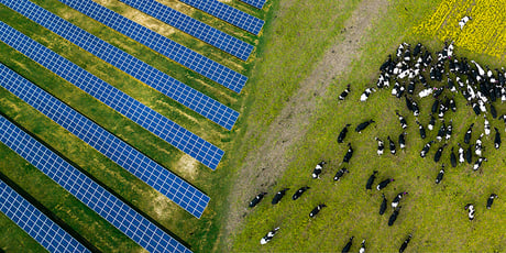 Så kan solceller gynna biologiska mångfalden