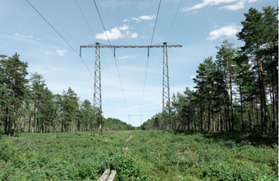 Small Screen 72 DPI-Vattenfall_Distribution_Biodiversity_40897-1