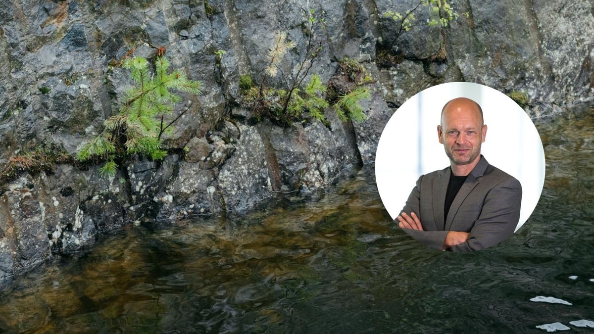 Berggren: Därför ökar behovet av samarbete i hållbarhetsarbetet