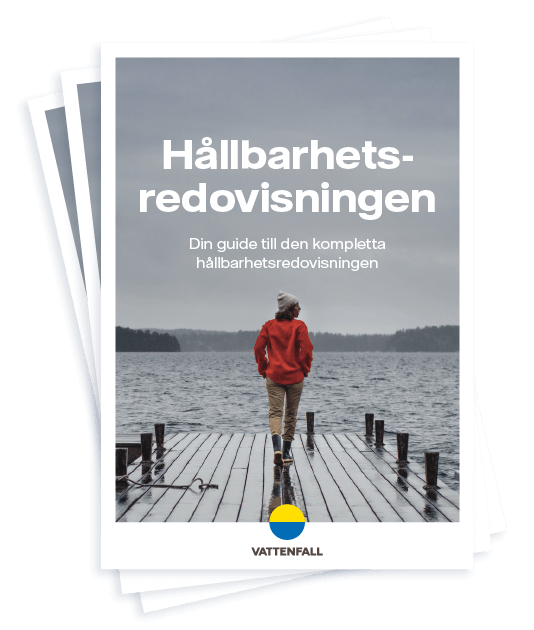 Hållbarhets&shy;redovisningen