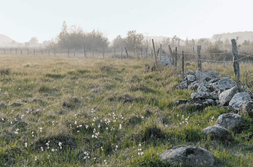 Vad händer med CSRD och ESRS?