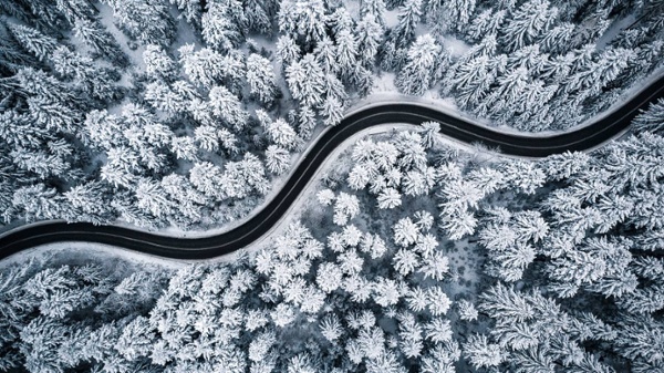 winter