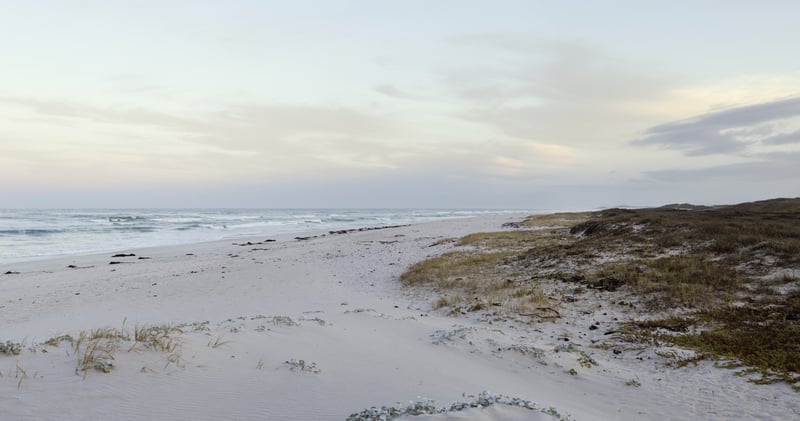 Guide: Hållbarhet - Så når du fram till ledningsgruppen