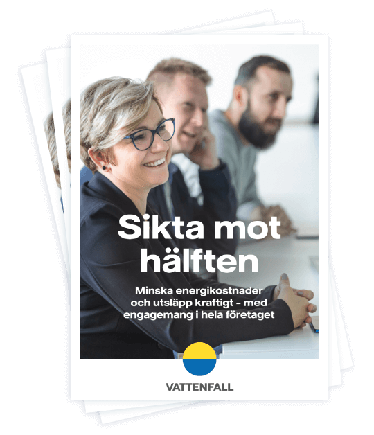 Energi&shy;effektiviserings&shy;guiden