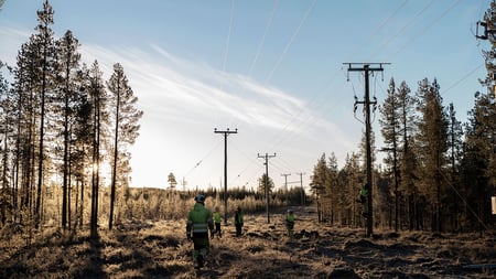 Miljardsatsning mot elbrist: “Kräver krafttag”