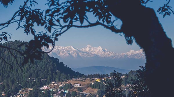 Nu vet vi att global förändring går riktigt snabbt – är det nu vi börjar ställa om?