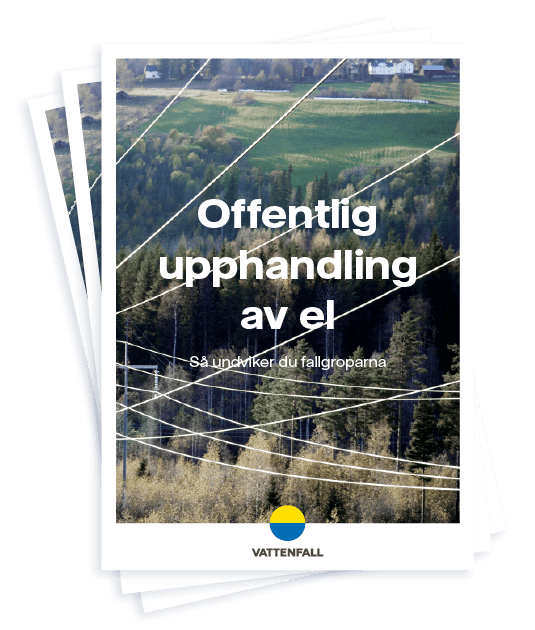 Offentlig upphandling av el