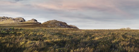 sa-blir-din-fastighet-klimatsmartare