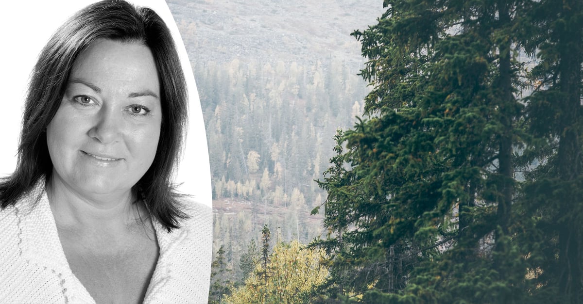 Hållbar el bygger stolthet – och träväggar