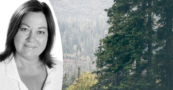 Hållbar el bygger stolthet – och träväggar