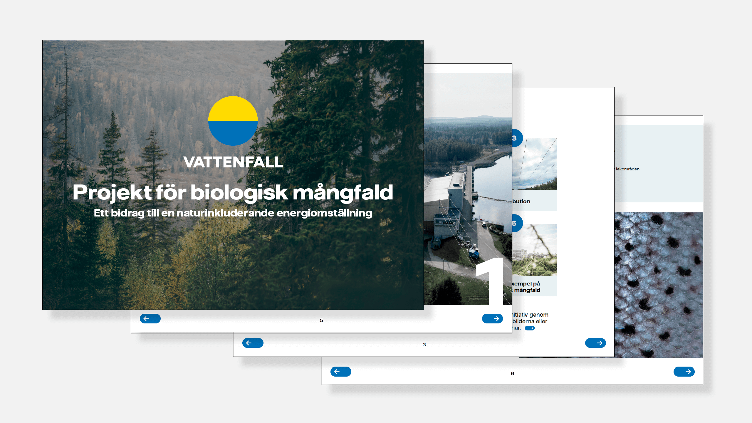 Projekt för Biologisk mångfald